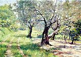 The Olive Grove by William Merritt Chase